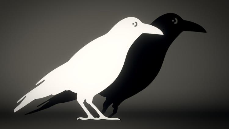 Повчальна притча про білу ворону, яка навчить вас не зважати на думку ...